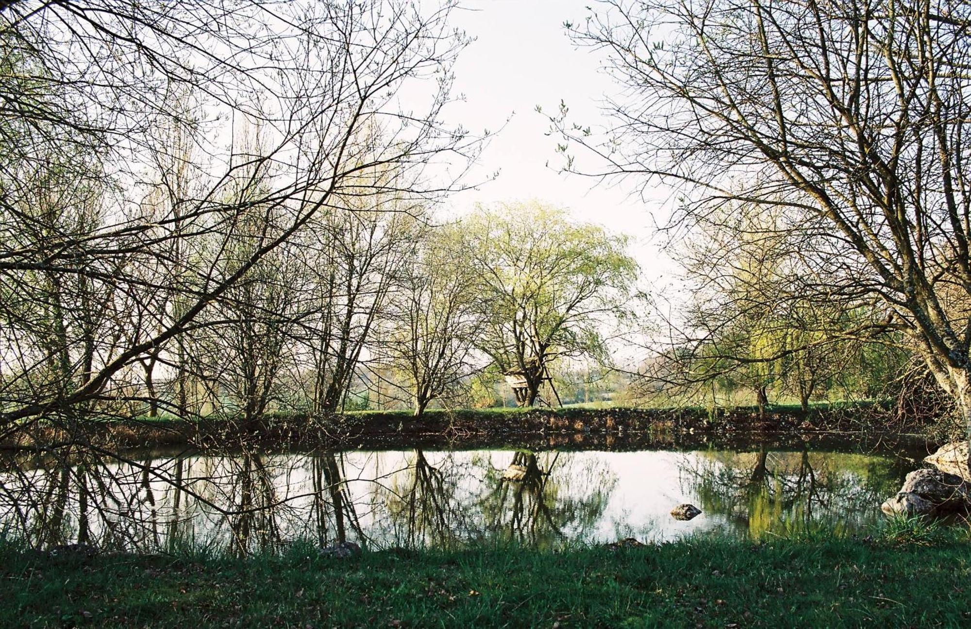 Les Bertaulieres Bed & Breakfast Bossay-sur-Claise Luaran gambar